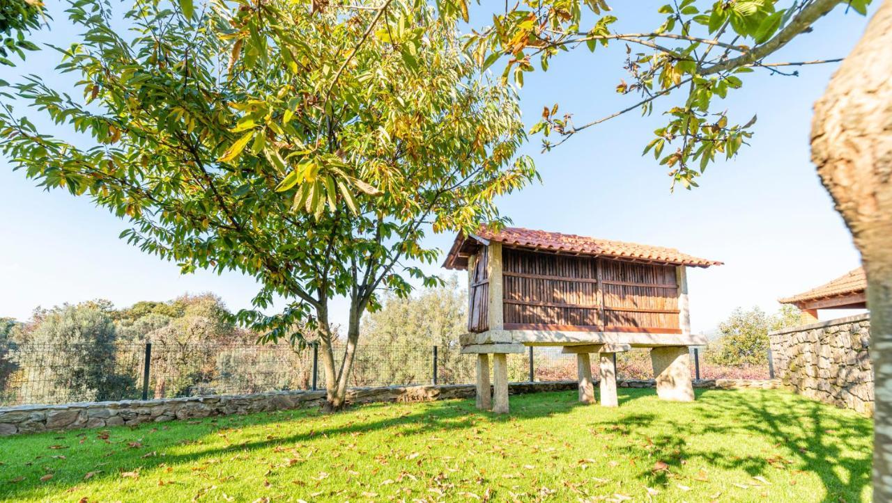 Casa Do Testado Ponte de Lima Eksteriør billede